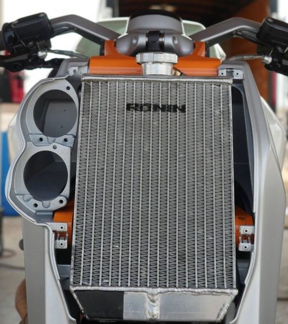 Ronin