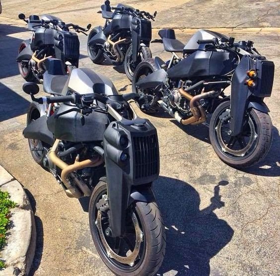 Flock of Ronins